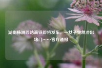 湖南株洲西站高铁即将发车，一女子突然冲出堵门……官方通报