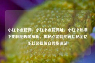 小红书点赞网，小红书点赞网址，小红书热潮下的网络现象解析，揭秘点赞网的背后秘密亿乐社区低价自营货源站