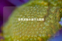 免费流量卡是什么套路