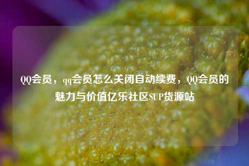 QQ会员，qq会员怎么关闭自动续费	，QQ会员的魅力与价值亿乐社区SUP货源站  第1张