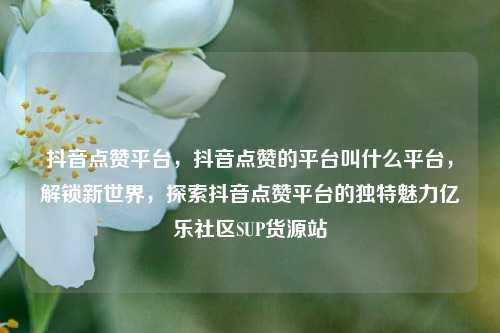 抖音点赞平台，抖音点赞的平台叫什么平台	，解锁新世界，探索抖音点赞平台的独特魅力亿乐社区SUP货源站  第1张