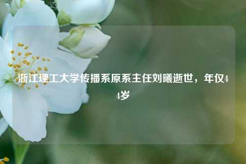 浙江理工大学传播系原系主任刘曦逝世，年仅44岁  第1张