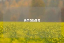 快手自助服务