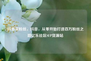 抖音买粉丝，抖音，从零开始打造百万粉丝之路亿乐社区SUP货源站