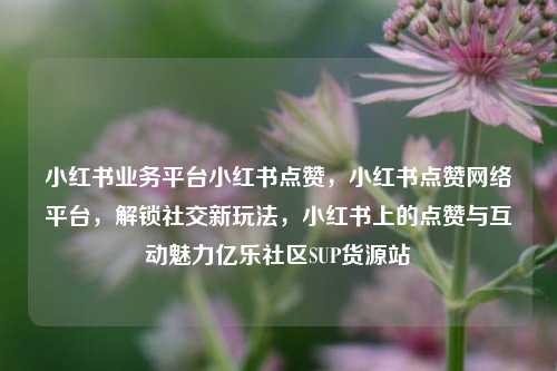小红书业务平台小红书点赞，小红书点赞网络平台	，解锁社交新玩法，小红书上的点赞与互动魅力亿乐社区SUP货源站  第1张