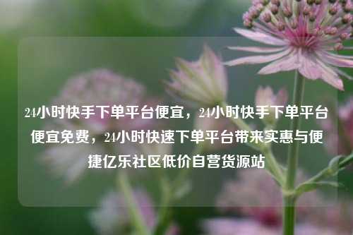 24小时快手下单平台便宜	，24小时快手下单平台便宜免费，24小时快速下单平台带来实惠与便捷亿乐社区低价自营货源站  第1张